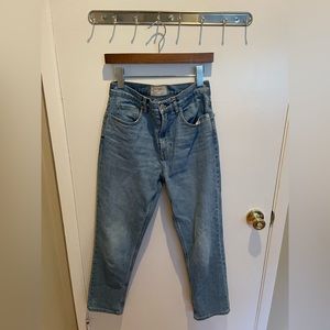 Everlane original cheeky jean sky blue 27 crop